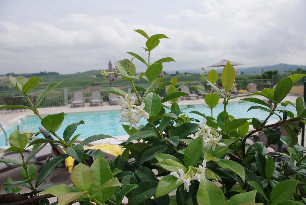 Naturalmente Wine Resort 알리아노 테르메 외부 사진