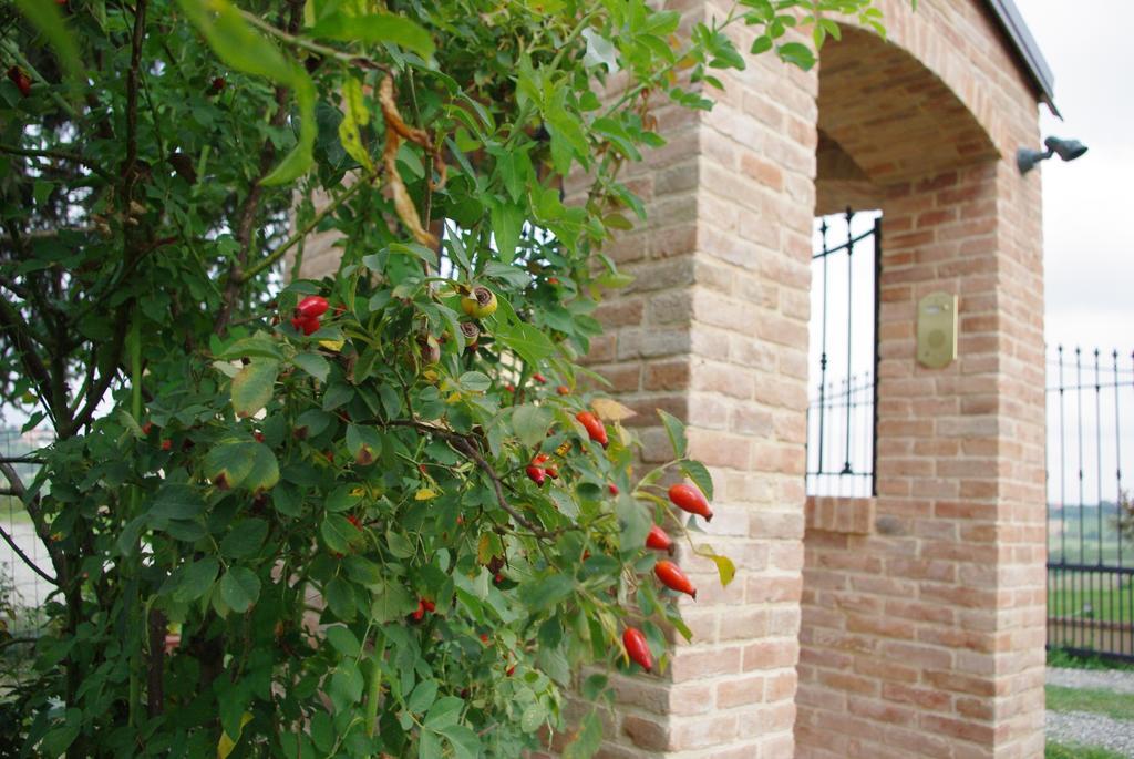 Naturalmente Wine Resort 알리아노 테르메 외부 사진