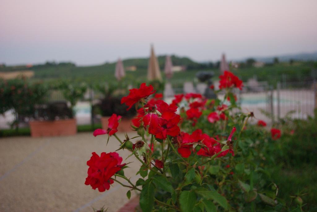 Naturalmente Wine Resort 알리아노 테르메 외부 사진