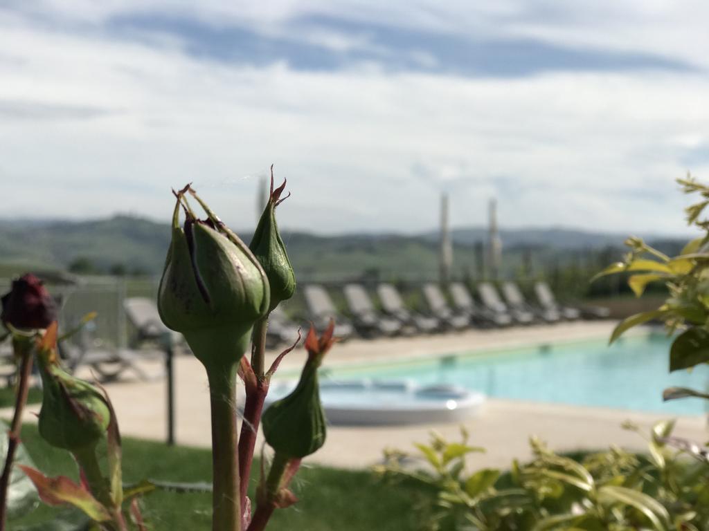 Naturalmente Wine Resort 알리아노 테르메 외부 사진