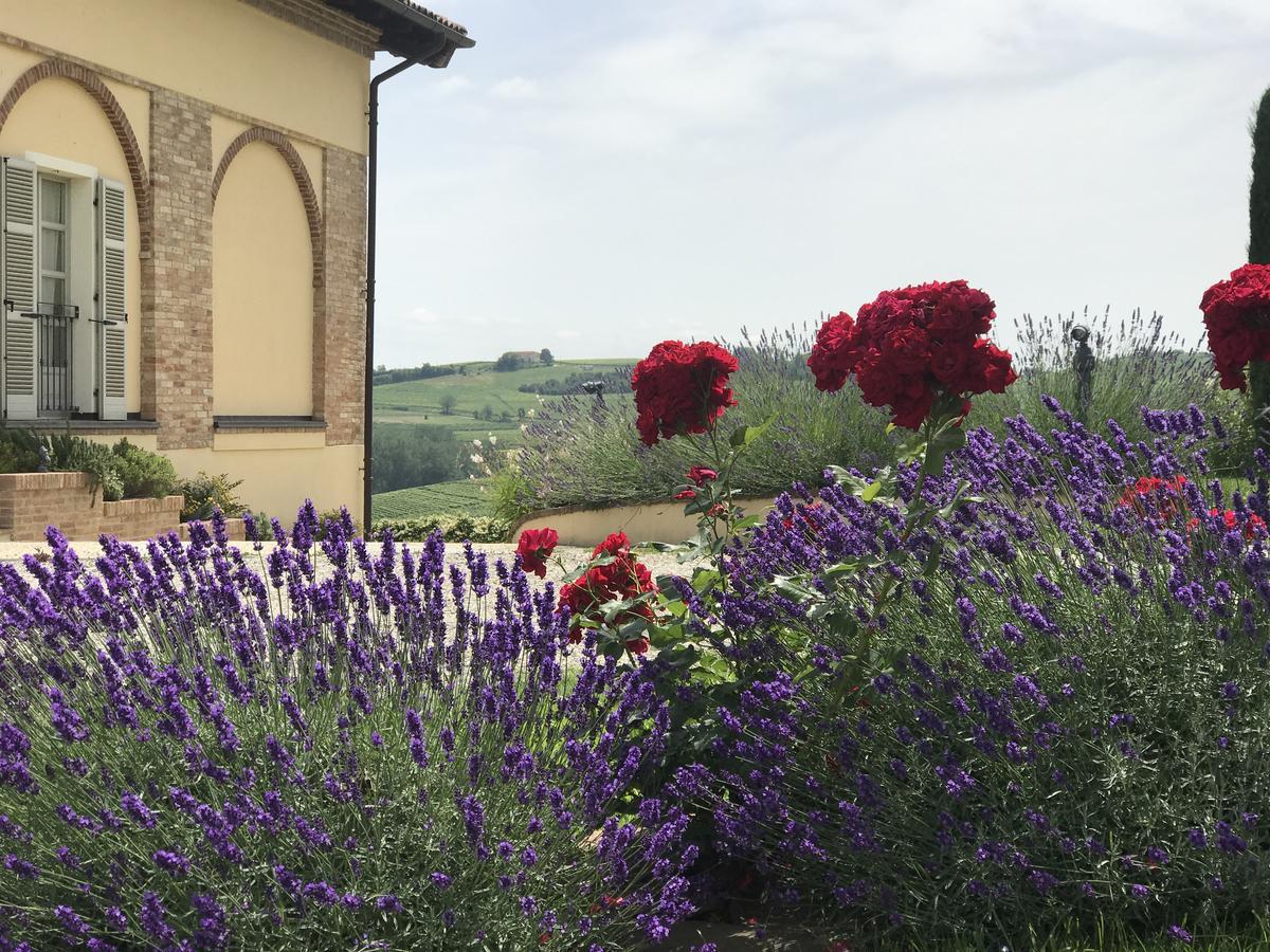 Naturalmente Wine Resort 알리아노 테르메 외부 사진
